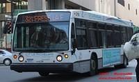 CITRICH-2768-01062011-02
