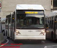 RTL-20602-20102010-01