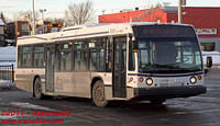 STL-0313-24122010-03