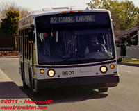 STL-9601-23102010-01