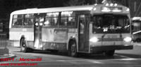 STM-12009-29102010-04