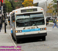 STM-14063-21102011-02