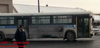 STM-14117-22012011-01