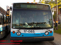 STM-17085-03062011-01