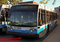 STM-17085-03062011-02