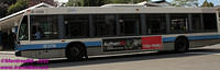 STM-18009-18082011-01