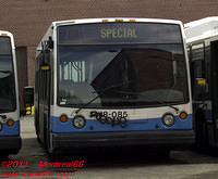 STM-18085-13112010-01