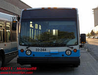STM-22244-03062011-01