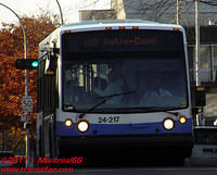 STM-24214-02112010-01