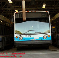 STM-26037-03062011-01