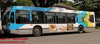 STM-29047-31052011-02