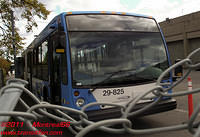STM-29825-17102010-02