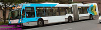 STM-30858-11082011-01