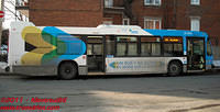 STM-31072-03032011-03