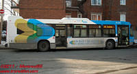 STM-31072-03032011-04