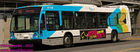 STM-31116-18082011-01