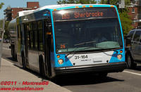 STM-31164-03062011-03