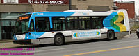 STM-31198-21102011-03