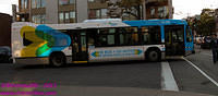 STM-31182-06102011-01