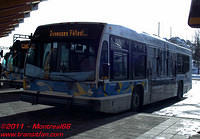 SURFTRAN-617-24122010-01