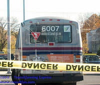 TFE-STL6007-23102010-01