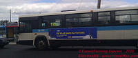 TFE-STM14115-06092011-01