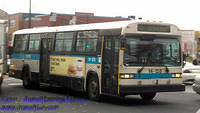 TFE-STM14128-29102010-01