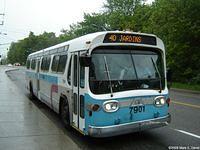 STO 7901 (31)