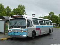 STO 7901 (43)