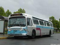 STO 7901 (44)