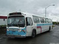 STO 7901 (49)