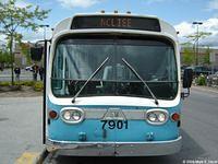 STO 7901 (07)
