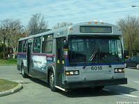 STL 6018 (11)