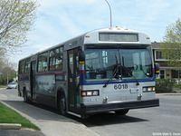 STL 6018 (32)