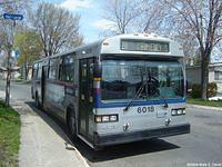STL 6018 (37)