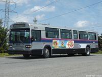 STL 6018 (45)