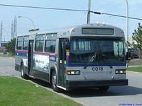 STL 6018 (04)
