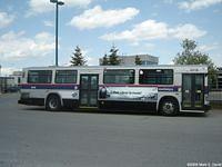 STL 6018 (52)