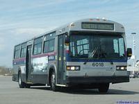 STL 6018 (19)