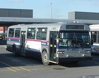 STL 6003 (2)