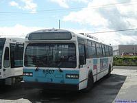 STO 9507 (2)