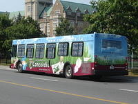 Concordia 110 (2)