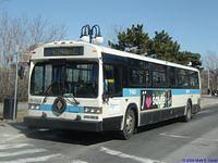 11-063 (7)