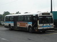 13-065 (1)