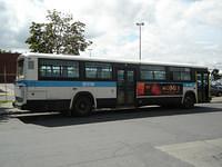 14-146 (2)