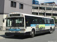 15-020 (4)