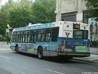 26-036 (3)
