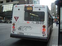 29-017 (2)