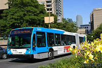 STM_30851
