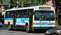 STM_12021